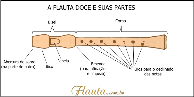 A flauta doce e suas partes
